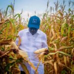 FB_IMG_1765734539504