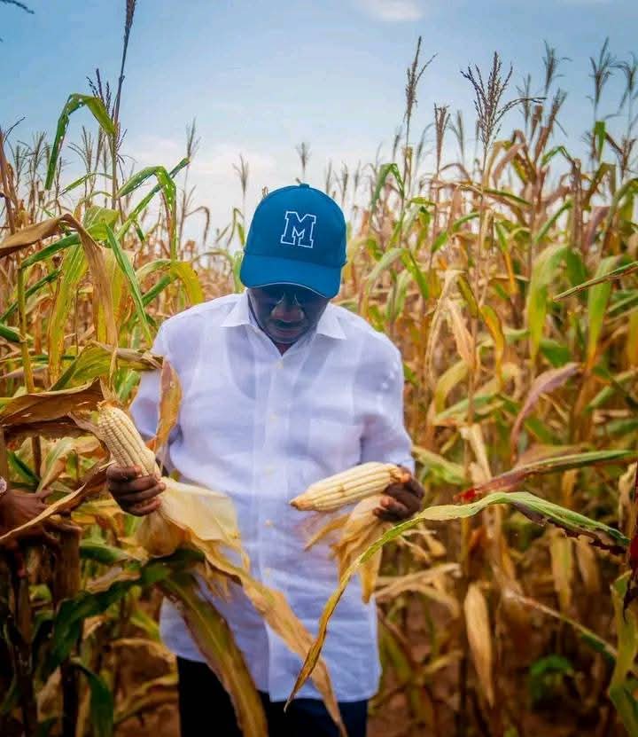 FB_IMG_1765734539504