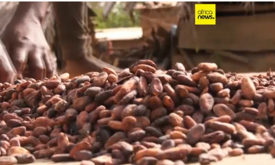 Screenshot_20260310-015244