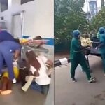 Anger Trails Tear Gas Attack, Stampede at Edo Children’s Day Celebration