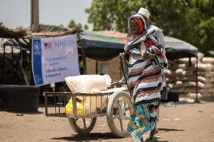 WF11175295 202605_WFP_NGA_Dikwa 119